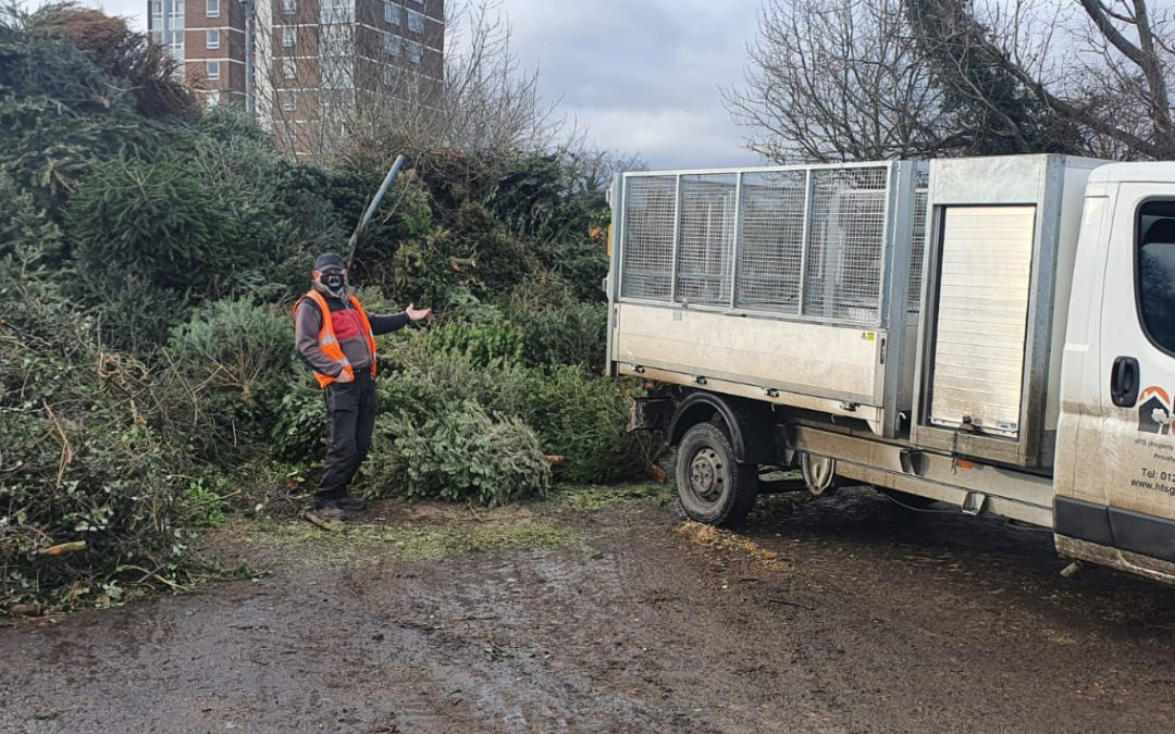 St Clare Hospice tree collection 2021