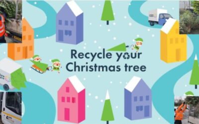 HTS supporting St Clare Hospice Recycle your Christmas Tree Appeal